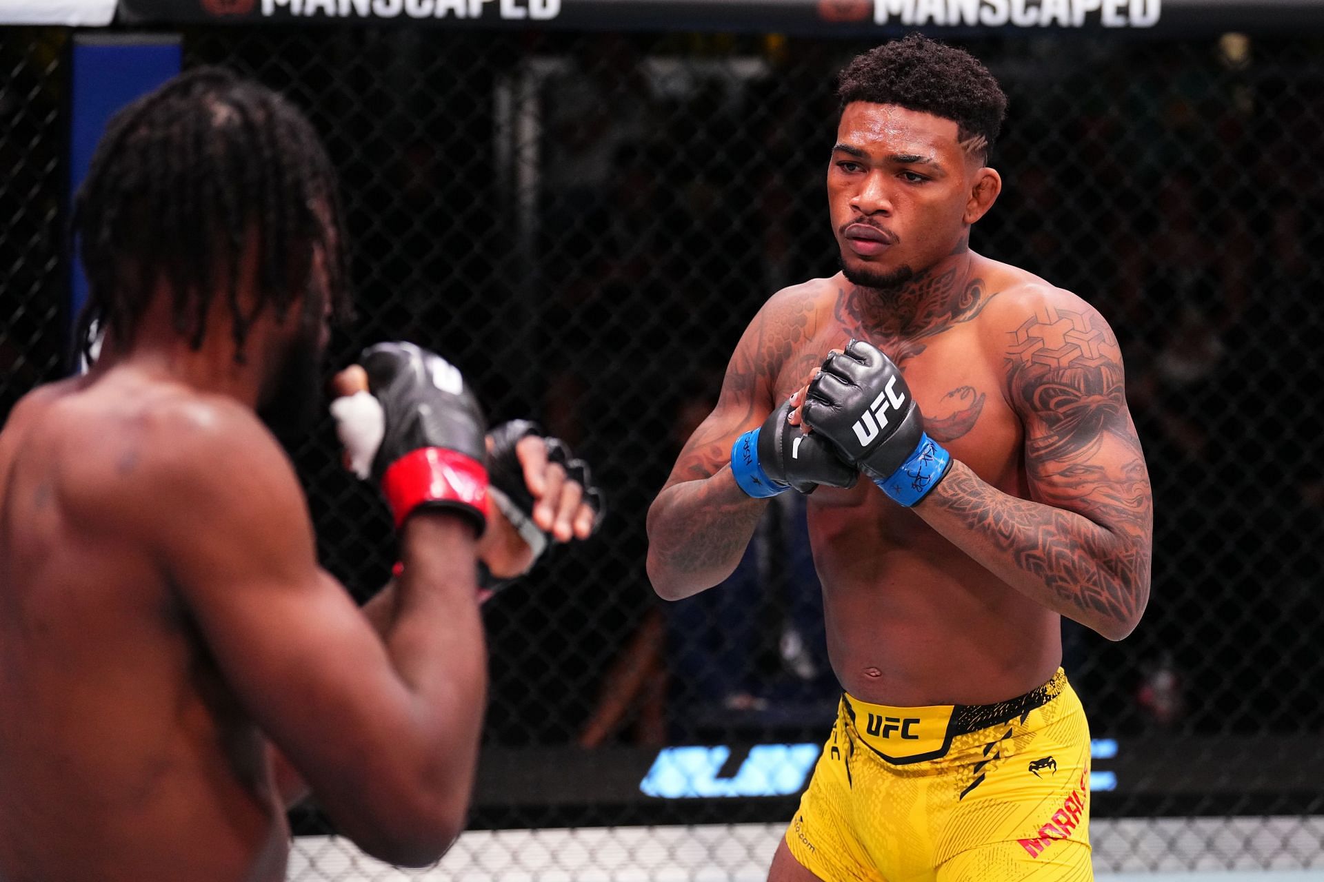 UFC Fight Night: Magny v Morales